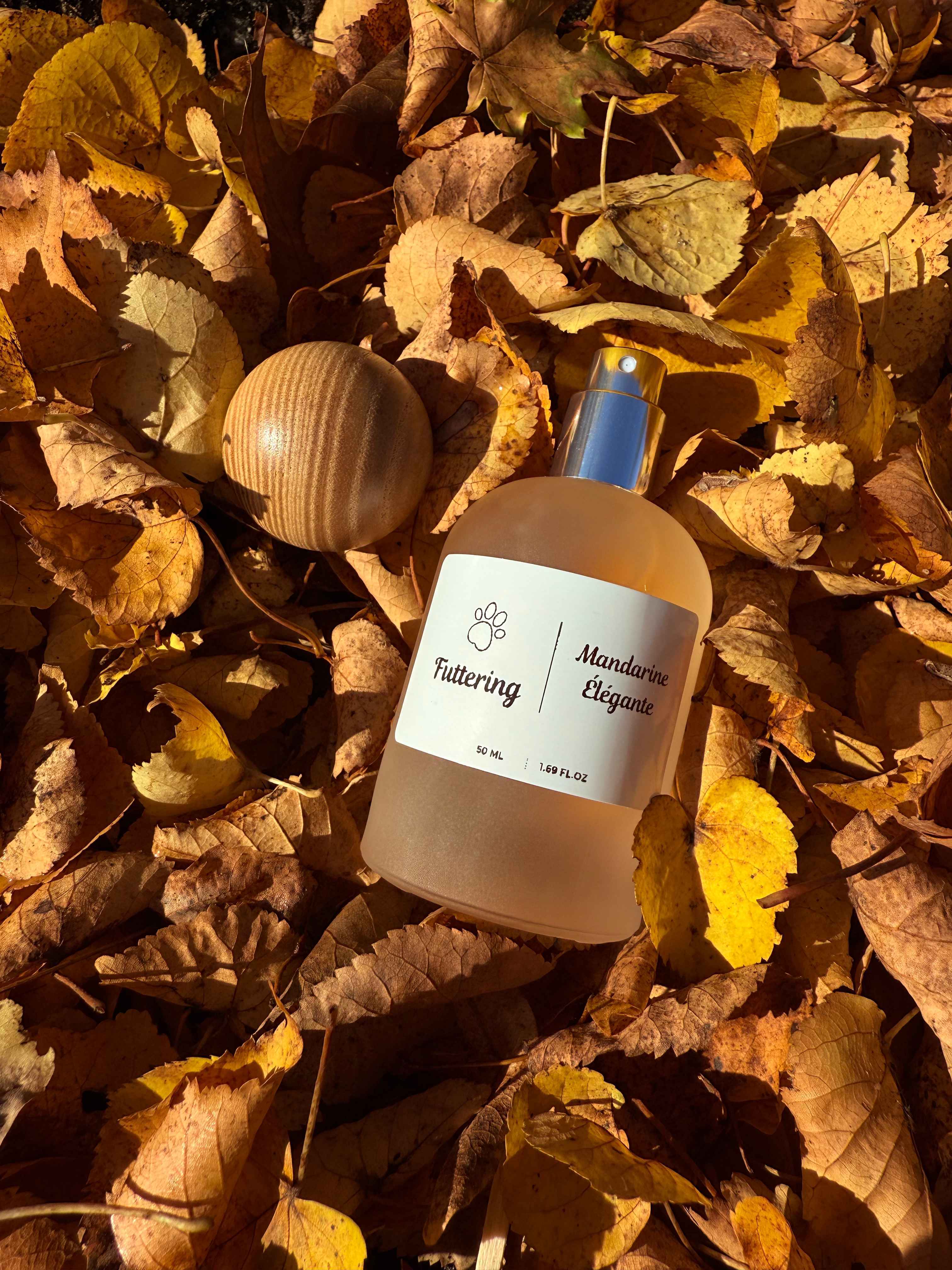 Mandarine Élégante